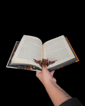 Dragonwing - Page Holder